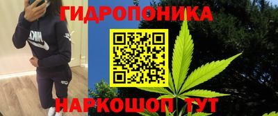 сатива Рузаевка