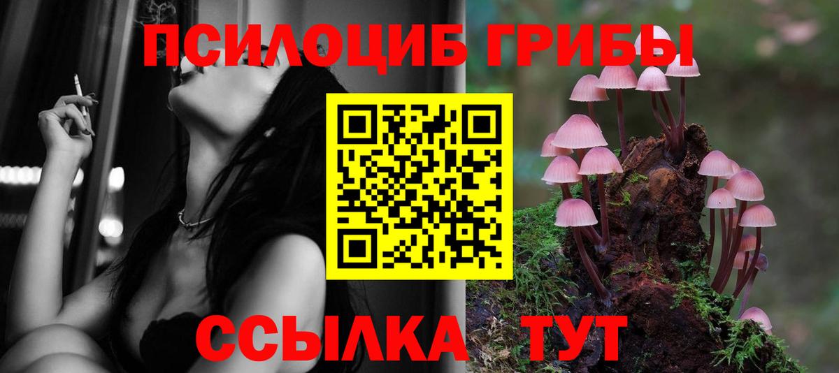 Галлюциногенные грибы Psilocybe  где можно купить наркотик  Россия  Вход с VPN 